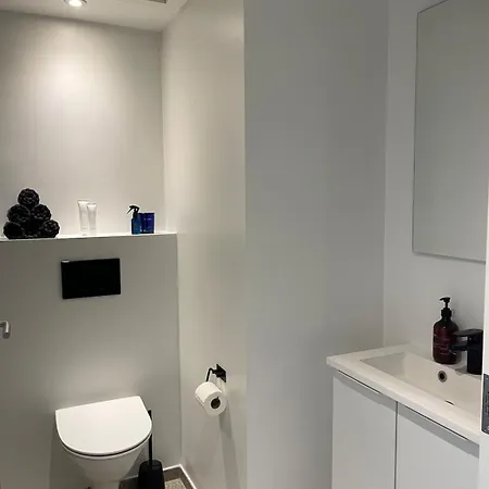 Appartement Nyrenoveret I Aalborg