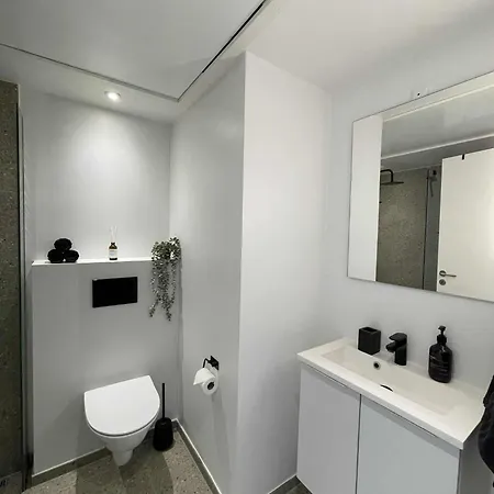 Apartamento Nyrenoveret I