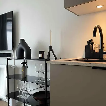 Διαμέρισμα Nyrenoveret I Άλμποργκ