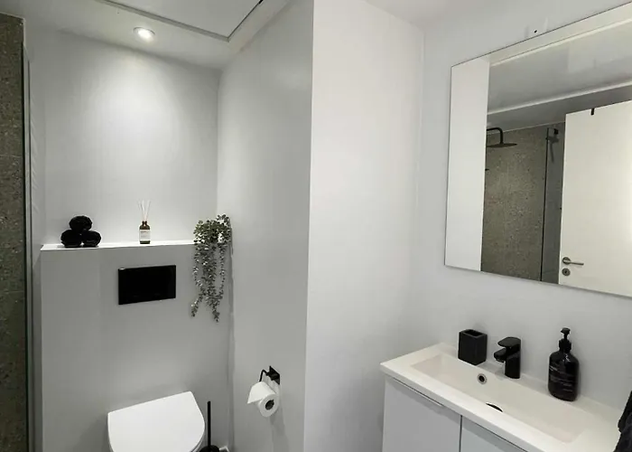 Apartamento Nyrenoveret I