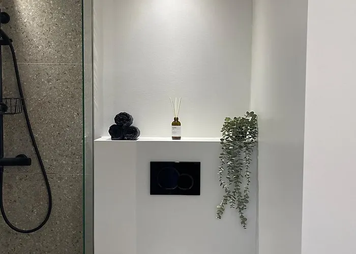 Nyrenoveret I Άλμποργκ